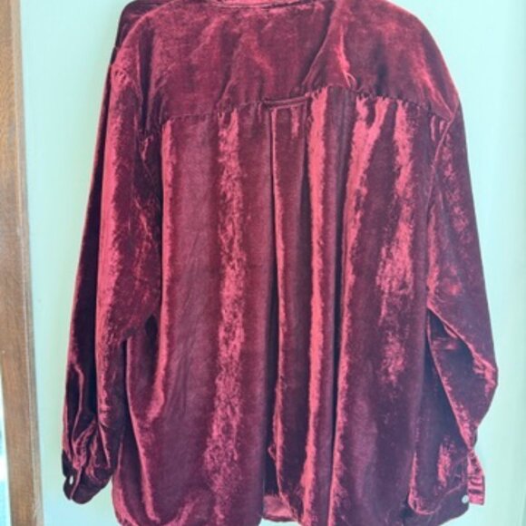 Vintage Gorgeous Velvet Button-Up - Picture 8 of 8